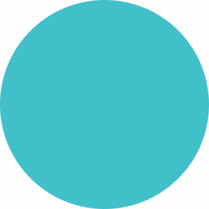 Ellipse-25-300x300
